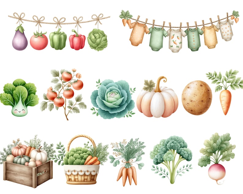 May include: Watercolor illustrations of various vegetables and baby clothes. The vegetables include an eggplant, tomatoes, peppers, and a cabbage hanging from a string. Other vegetables include a pumpkin, potato, and carrots. Baby clothes are hanging on a clothesline.