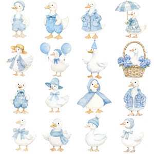 Op de afbeelding: Waterverfillustraties van witte eenden in diverse blauwe outfits. De eenden dragen hoeden, jassen, overalls en houden ballonnen en paraplu's vast. Sommige eenden zitten in een mand met blauwe bloemen.