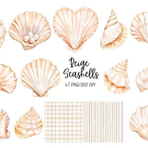 May include: Watercolor illustrations of beige seashells in various shapes and sizes, some with gold accents. The image includes the text "Beige Seashells" and "47 PNG/300 DPI". The seashells are in shades of cream, tan, and peach.