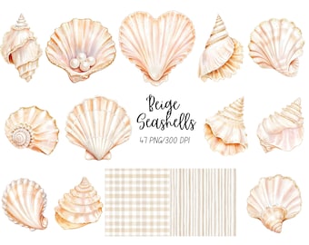 Boho Seashell Clipart Pack, Iridescent Beige Mermaid Shells Png, Watercolor Seashell Clipart, Under the Sea Clipart, Commercial Use