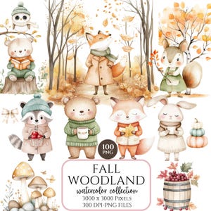 Op de afbeelding: Waterverfillustraties van bosdieren in herfstachtige omgevingen. Bevat een beer die leest, een vos in een jas, een wasbeer met appels en een konijn met een mok. De tekst "FALL WOODLAND watercolor collection" is ook aanwezig.