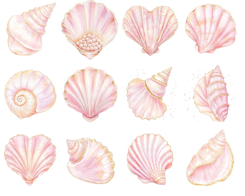 Pink Shells Drawi Pink Seashell Clipart Pack, Iridescent Pink Mermaid Shells Png ...