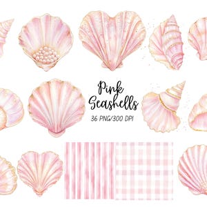 Paquete de imágenes prediseñadas de conchas marinas rosas, conchas de sirena rosa iridiscentes PNG, imágenes prediseñadas de conchas marinas de acuarela, imágenes prediseñadas bajo el mar, uso comercial