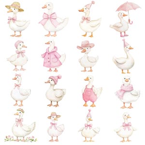 K&ouml;nnte beinhalten: Aquarellillustration von sechzehn wei&szlig;en G&auml;nsen, jede mit rosa Accessoires geschm&uuml;ckt. Einige tragen H&uuml;te, Schleifen und M&auml;ntel. Eine Gans h&auml;lt einen rosa Regenschirm. Die G&auml;nse sind auf wei&szlig;em Hintergrund angeordnet.