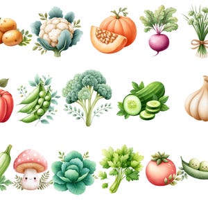 May include: Watercolor illustration of various vegetables, including potatoes, cauliflower, pumpkin, beet, chives, bell pepper, peas, broccoli, cucumber, garlic, zucchini, mushroom, cabbage, parsley, tomato, and peas in a pod.