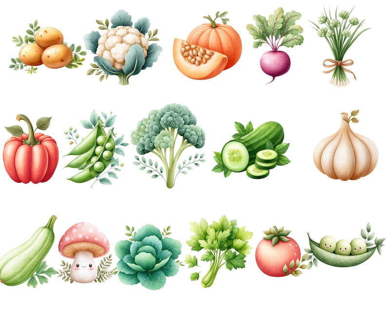 May include: Watercolor illustration of various vegetables, including potatoes, cauliflower, pumpkin, beet, chives, bell pepper, peas, broccoli, cucumber, garlic, zucchini, mushroom, cabbage, parsley, tomato, and peas in a pod.