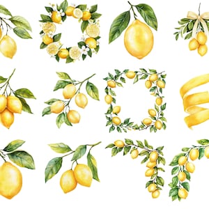 May include: Watercolor illustrations of lemons and lemon branches. The image features various arrangements, including single lemons, clusters, wreaths, and decorative elements. The lemons are bright yellow with green leaves.