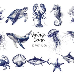 Vintage Ocean Clipart Bundle: Navy Blue Sea Creatures, Wedding Invites And Birthdays Watercolor Sea Animals, Ships (Digital Download)