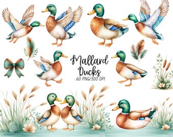 Watercolor Mallard Duck Clipart, PNG Digital Illustration Bundle, For Baby Shower Invite, Boy Birthday Party Invitation, Printable Clip Art