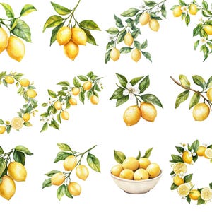 May include: Watercolor illustrations of lemons and lemon branches with green leaves and white blossoms. The image includes arrangements of lemons on branches, a lemon wreath, and a bowl of lemons.