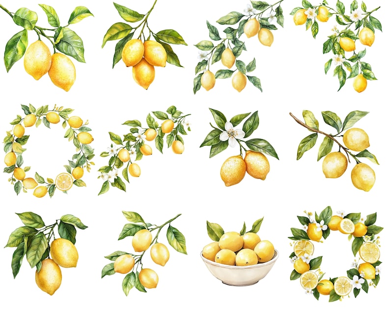 May include: Watercolor illustrations of lemons and lemon branches with green leaves and white blossoms. The image includes arrangements of lemons on branches, a lemon wreath, and a bowl of lemons.