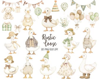 Watercolor Rustic Goose Clipart, Silly Goose PNG, Boho nursery decor, Baby Shower Clip Art, Spring Vintage Cottagecore Commercial Use