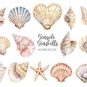 Puede incluir: Ilustraciones en acuarela de varias conchas marinas en tonos beige, melocotón y azul. La imagen incluye una estrella de mar y una concha con una perla. El texto dice "Seaside Seashells".