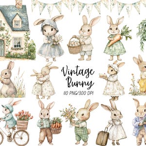 Può includere: Illustrazioni ad acquerello di coniglietti vintage in varie pose. I coniglietti sono raffigurati con fiori, carote, cesti e una valigia. Sono inclusi anche una casa e uno striscione floreale. Il testo "Vintage Bunny" è visualizzato.