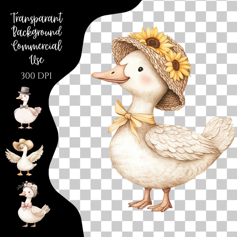 May include: Watercolor illustration of a white duck wearing a straw hat adorned with sunflowers and a yellow bow. The image includes text: Transparent Background, Commercial Use, 300 DPI. Additional duck illustrations are on the left.
