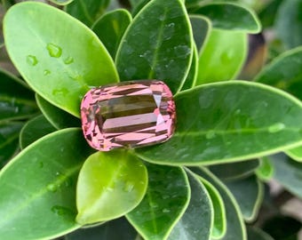 5.35 Karat Natürlicher Rosa Turmalin Kissenschliff