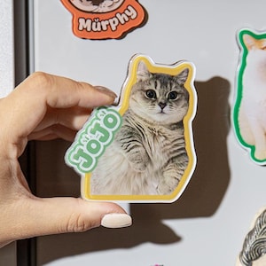 Könnte beinhalten: Eine Sammlung von Magneten mit Katzenmotiven und eine Frida-Kahlo-Puppe werden auf einem Kühlschrank ausgestellt. Die Magnete zeigen Katzenporträts mit Namen wie "Jojo" und "Murphy". Die Puppe trägt ein rotes Outfit mit Blumenmuster.