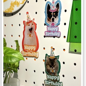 Custom Pet Birthday Magnet: Personalized Dog or Cat Photo Gift
