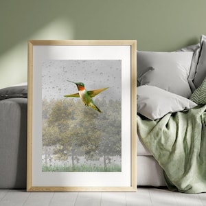 May include: A framed print showing a hummingbird in mid-flight. The bird displays green, red, and yellow feathers, set against a backdrop of trees and a misty, rainy sky. The artwork is displayed in a light-coloured wooden frame.