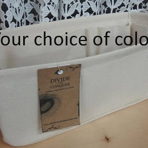 May include: A beige rectangular organizer with multiple compartments. The text "Your choice of color" is above the organizer. A brown tag with the text "DIVIDE AND CONQUER" hangs from the organizer.