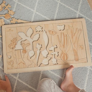 Secret garden - how do plants grow wooden puzzles