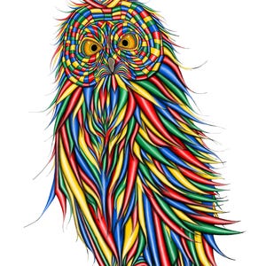 The owl