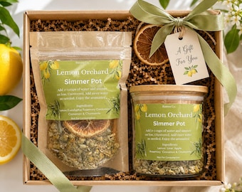 Simmer Pot Kit - Raumduft, Herdtop-Potpourri, botanische Mischung aus Zitronen-Zimt-Gewürzen, Einweihungsgeschenk