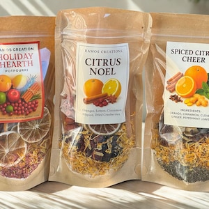 Holiday Simmer Pot Kit: Natural Citrus & Spice Stovetop Potpourri