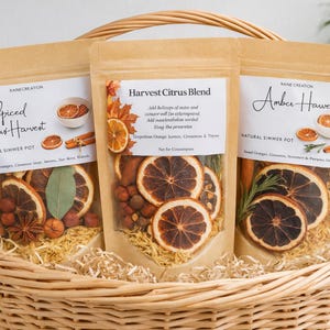 Simmer Pot Kit 3-Pack – Stovetop Potpourri Gift Set, Natural Home Fragrance, Citrus Orange Cinnamon Blends, Hostess Housewarming Gift