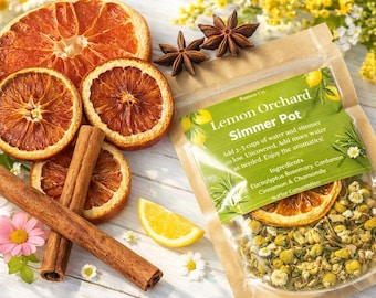 Simmer Pot Kit- Home Fragrance, Stovetop Potpourri, Lemon Cinnamon Spice Botanical Blend, Housewarming Gift