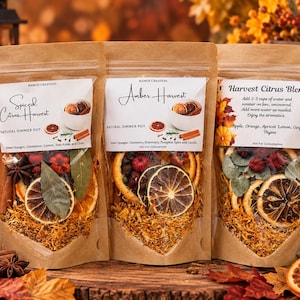 Fall Simmer Pot Kit 3-pack: Stovetop Potpourri, Seasonal Home Fragrance,  Natural Dried Fruit & Spices, Autumn/Holiday Gift