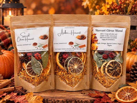 Fall Simmer Pot Kit 3-pack: Stovetop Potpourri, Seasonal Home Fragrance,  Natural Dried Fruit & Spices, Autumn/Holiday Gift