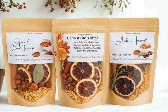 3 Pack Citrus Spice Simmer Pot Kits: Natural Home Fragrance Gift