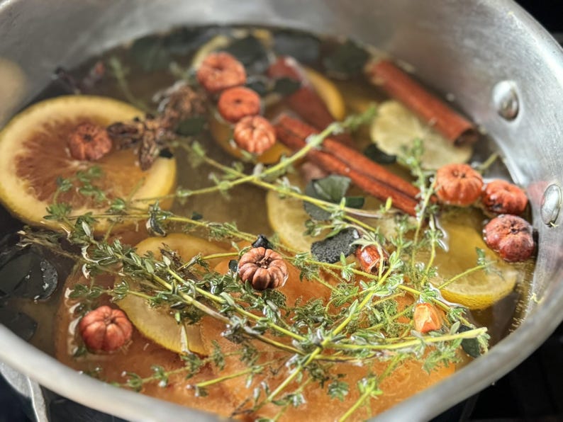 Spiced Citrus Simmer Pot Kit – Organic Orange Cinnamon Stovetop Potpourri, Autumn Spice Fragrance image 4