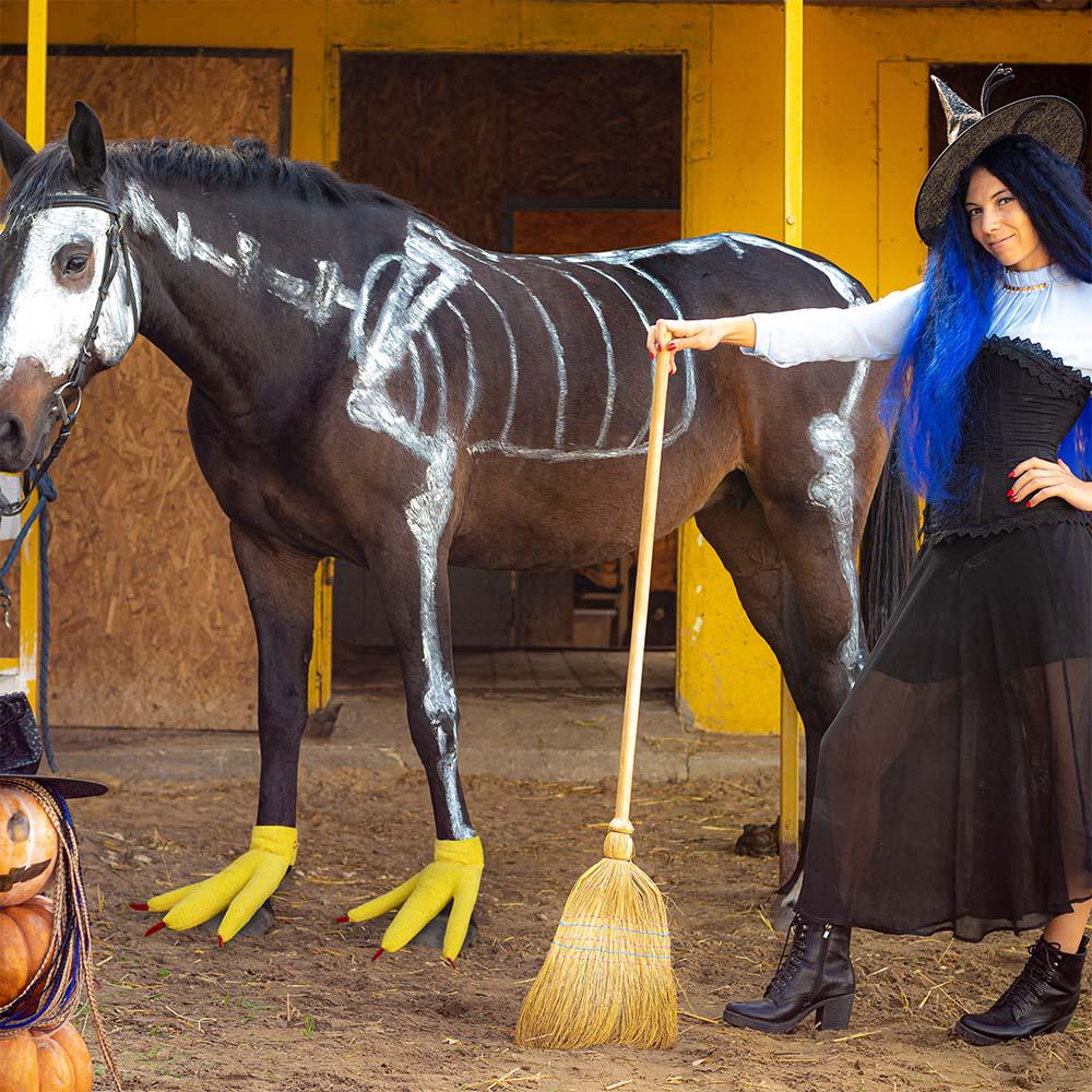Halloween Costumes for Horses UK