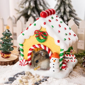 Puede incluir: Una caprichosa casa de jengibre en miniatura con temática navideña con un hámster en su interior. La casa amarilla tiene glaseado blanco, chispas rojas y verdes y un lazo rojo. También hay un pequeño muñeco de nieve y un letrero que dice "Biscuit".