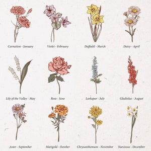 May include: A botanical illustration featuring twelve different flowers, each representing a birth month. The flowers include carnation, violet, daffodil, daisy, lily of the valley, rose, larkspur, gladiolus, aster, marigold, chrysanthemum, and narcissus.