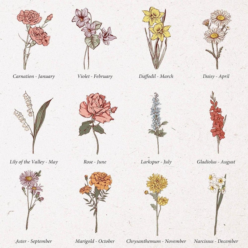 May include: A botanical illustration featuring twelve different flowers, each representing a birth month. The flowers include carnation, violet, daffodil, daisy, lily of the valley, rose, larkspur, gladiolus, aster, marigold, chrysanthemum, and narcissus.