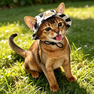 May include: A brown Abyssinian kitten wearing a white bucket hat with black cow-print spots and the name Ace embroidered in gold letters on the front. The hat features a thin black chin strap tied under the chin, and the kitten has its tongue out.