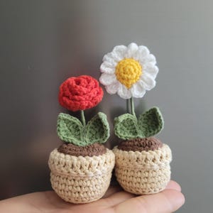 Könnte beinhalten: Zwei handgefertigte Häkelblumenmagnete. Einer zeigt eine rote Rose, der andere eine weiße Gänseblümchen mit gelber Mitte. Beide Blumen befinden sich in beigefarbenen Häkeltöpfen mit grünen Blättern.