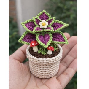 Peut inclure: Une plante miniature crochetée dans un pot beige. La plante présente des feuilles violettes et vertes, une petite fleur blanche et deux champignons rouges et blancs. Le pot est tenu dans la main d'une personne.