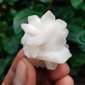 Op de afbeelding: Een close-up van een witte, bloemachtige kristalformatie, gehouden tegen een vage groene achtergrond. Het mineraal heeft een gelaagde structuur en een zacht, doorschijnend uiterlijk. Het is waarschijnlijk een seleniet of een vergelijkbaar kristal.