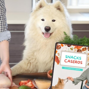 Recetario de snacks caseros para perros