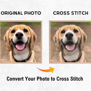 Convert Your Photo to Cross Stitch Pattern, Custom Cross Stitch, Personalized Portrait Embroidery, Customizable Xstitch, Image To Stitch PDF
