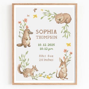 Op de afbeelding: Een ingelijste kruissteek met de naam "SOPHIA THOMPSON" en geboortedetails. Het ontwerp bevat Australische dieren: een vogelbekdier, een wombat, een bilby en een kangoeroe. De lijst is lichtbruin en het kunstwerk bevat afmetingen van 3,6 kg en 50,8 cm.