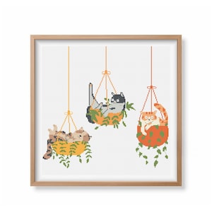 Op de afbeelding: Drie katten hangen in oranje en gele bloempotten met groene bladeren. De katten zijn in verschillende poses en hebben verschillende vachtkleuren. De potten hangen aan het plafond.