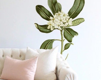 Glossy Leaved Pittosporum Wall Decals | Urbanwalls