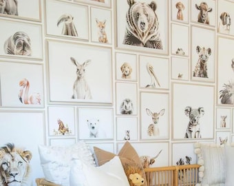Animal Kingdom Wallpaper | Urbanwalls