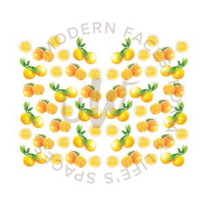 Oranges Wall Decals Urbanwalls Full Order