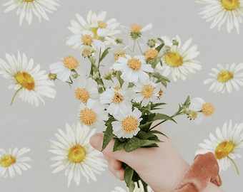 Classic Daisy Wall Decals | Urbanwalls